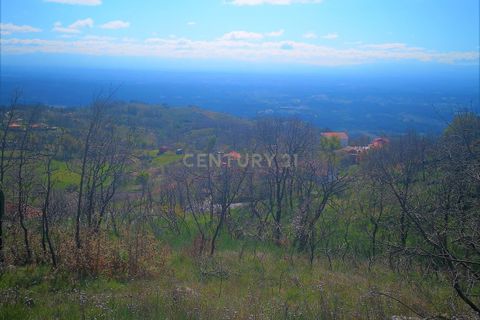 Helårsgrund i Caparrosa e Silvares, Viseu, Caparrosa e Silvares - € 25.000 | Ref: C0203-01402 - foto 3