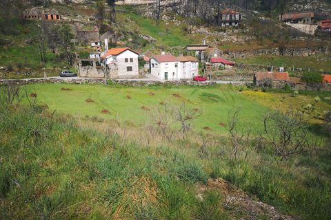 Helårsgrund i Caparrosa e Silvares, Viseu, Caparrosa e Silvares - € 25.000 | Ref: C0203-01402 - foto 4