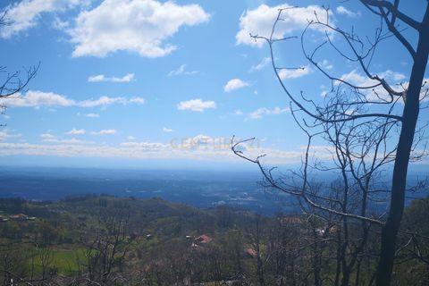 Helårsgrund i Caparrosa e Silvares, Viseu, Caparrosa e Silvares - € 25.000 | Ref: C0203-01402 - foto 5