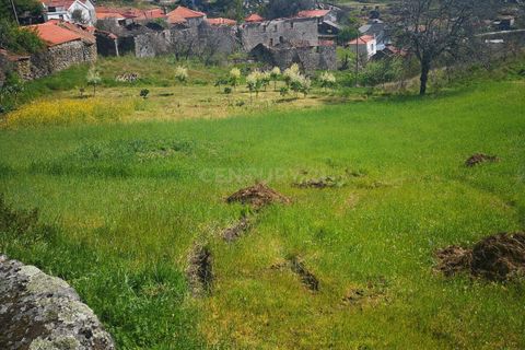 Helårsgrund i Caparrosa e Silvares, Viseu, Caparrosa e Silvares - € 25.000 | Ref: C0203-01402 - foto 6