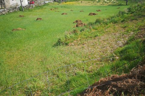Helårsgrund i Caparrosa e Silvares, Viseu, Caparrosa e Silvares - € 25.000 | Ref: C0203-01402 - foto 7