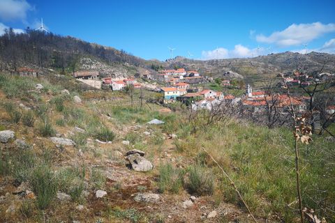 Helårsgrund i Caparrosa e Silvares, Viseu, Caparrosa e Silvares - € 25.000 | Ref: C0203-01402 - foto 9