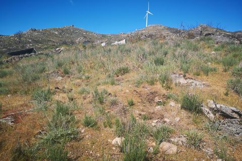 Helårsgrund i Caparrosa e Silvares, Viseu, Caparrosa e Silvares - € 25.000 | Ref: C0203-01402 - foto 10