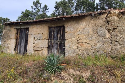 Terra a Santar e Moreira, Viseu, Santar e Moreira - € 65.000 | Ref: C0203-02188 - foto 2
