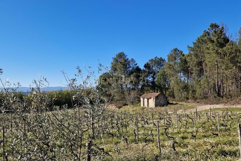Terra a Santar e Moreira, Viseu, Santar e Moreira - € 65.000 | Ref: C0203-02188 - foto 3