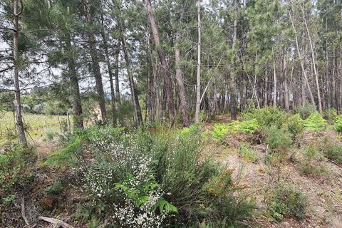 Terra a Santar e Moreira, Viseu, Santar e Moreira - € 65.000 | Ref: C0203-02188 - foto 11