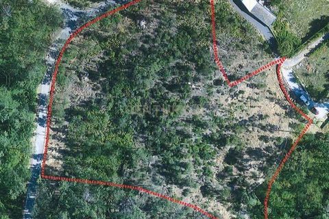 Terra a Abraveses, Viseu, Abraveses - € 37.500 | Ref: C0203-01826 - foto 2