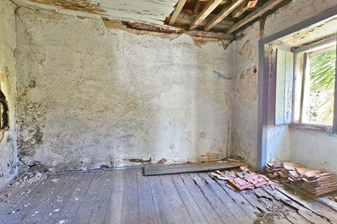 Villa i Oeiras, Lisbon, Oeiras - € 995.000 | Ref: 1649-01639 - foto 12