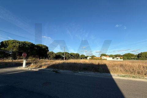 Terra a Torrao, Setubal, Torrao - € 45.000 | Ref: KWPT-018048 - foto 4