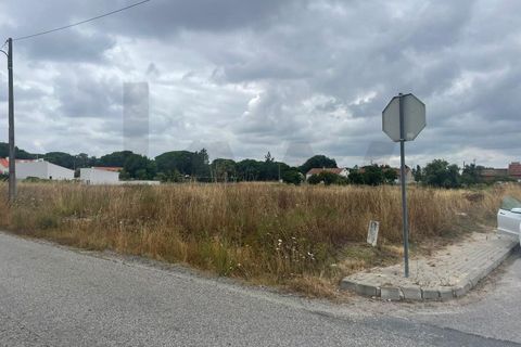 Terra a Torrao, Setubal, Torrao - € 45.000 | Ref: KWPT-018048 - foto 6