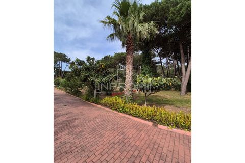 Villa i Sintra, Lisbon, Sintra - € 4.500.000 | Ref: AR10_0128 - foto 15