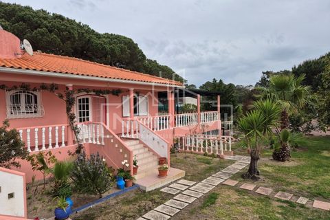 Villa i Sintra, Lisbon, Sintra - € 4.500.000 | Ref: AR10_0128 - foto 31