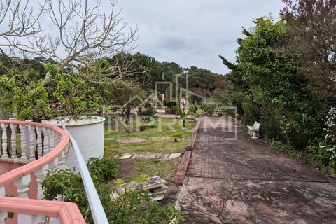 Villa i Sintra, Lisbon, Sintra - € 4.500.000 | Ref: AR10_0128 - foto 35