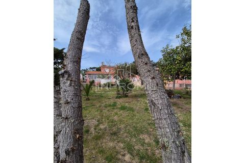Villa i Sintra, Lisbon, Sintra - € 4.500.000 | Ref: AR10_0128 - foto 40