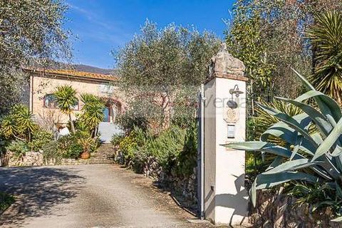 Landejendom i Camaiore, Lucca, Camaiore - € 1.680.000 | Ref: 1947 - foto 3
