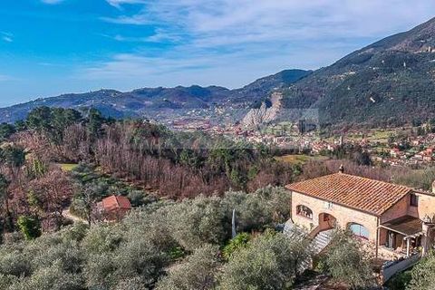 Landejendom i Camaiore, Lucca, Camaiore - € 1.680.000 | Ref: 1947 - foto 5