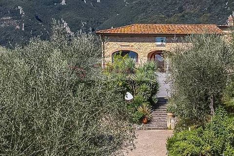 Landejendom i Camaiore, Lucca, Camaiore - € 1.680.000 | Ref: 1947 - foto 8