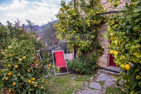 Landejendom i Camaiore, Lucca, Camaiore - € 1.680.000 | Ref: 1947 - foto 14