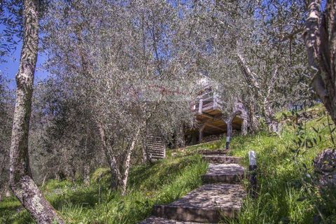 Landejendom i Camaiore, Lucca, Camaiore - € 1.680.000 | Ref: 1947 - foto 20