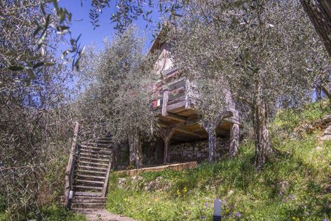 Landejendom i Camaiore, Lucca, Camaiore - € 1.680.000 | Ref: 1947 - foto 21