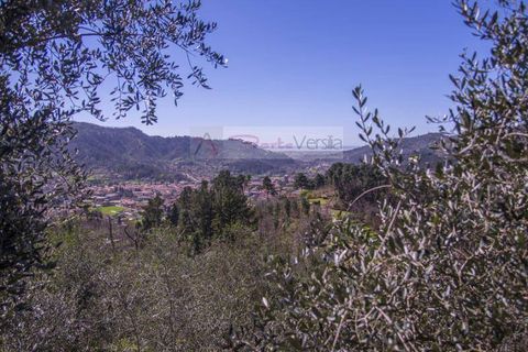 Landejendom i Camaiore, Lucca, Camaiore - € 1.680.000 | Ref: 1947 - foto 22