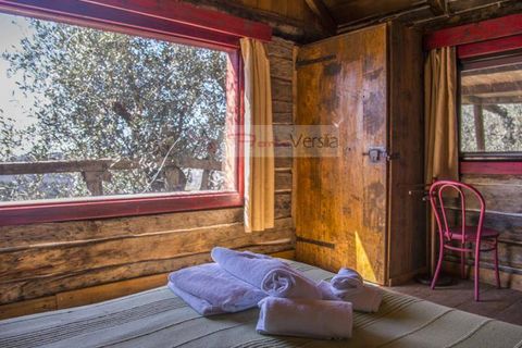 Landejendom i Camaiore, Lucca, Camaiore - € 1.680.000 | Ref: 1947 - foto 25