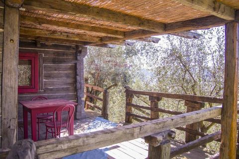 Landejendom i Camaiore, Lucca, Camaiore - € 1.680.000 | Ref: 1947 - foto 28