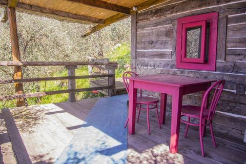 Landejendom i Camaiore, Lucca, Camaiore - € 1.680.000 | Ref: 1947 - foto 29