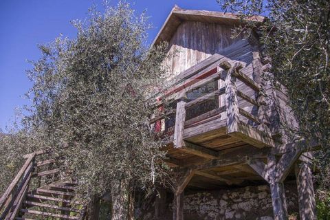Landejendom i Camaiore, Lucca, Camaiore - € 1.680.000 | Ref: 1947 - foto 30
