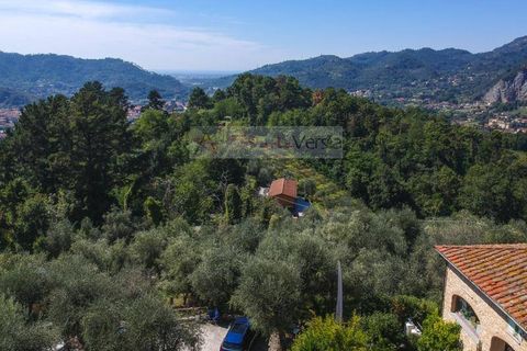 Landejendom i Camaiore, Lucca, Camaiore - € 1.680.000 | Ref: 1947 - foto 43