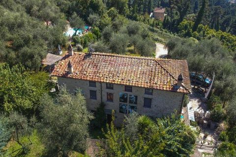 Landejendom i Camaiore, Lucca, Camaiore - € 1.680.000 | Ref: 1947 - foto 44