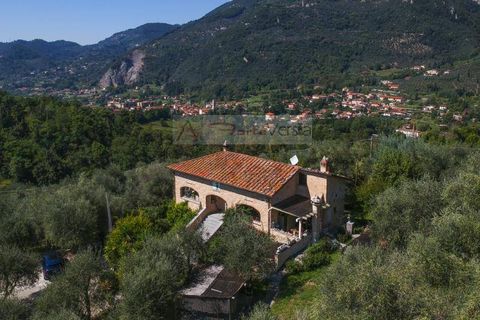 Landejendom i Camaiore, Lucca, Camaiore - € 1.680.000 | Ref: 1947 - foto 45