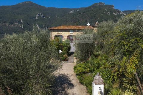 Landejendom i Camaiore, Lucca, Camaiore - € 1.680.000 | Ref: 1947 - foto 47
