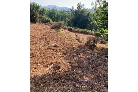 Villa i Ponte de Lima, Viana do Castelo, Ponte de Lima - € 78.000 | Ref: TC114 - foto 2