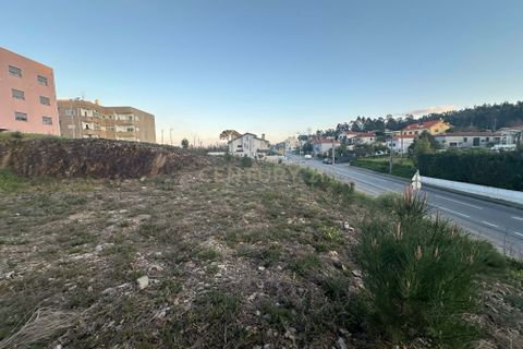 Helårsgrund i Valongo, Porto, Valongo - € 57.500 | Ref: C0510-00262 - foto 16