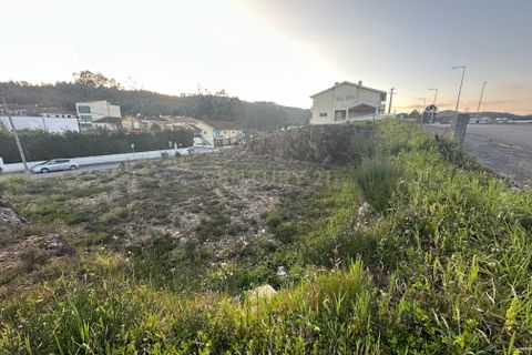Helårsgrund i Valongo, Porto, Valongo - € 57.500 | Ref: C0510-00262 - foto 3