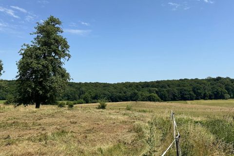 Farm i Viethorey, Doubs, Viethorey - € 399.000 | Ref: 1449-LIS - foto 6