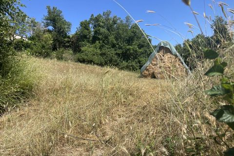 Villa a Sellano, Perugia, Sellano - € 18.000 | Ref: CBI057-315-30379 - foto 19
