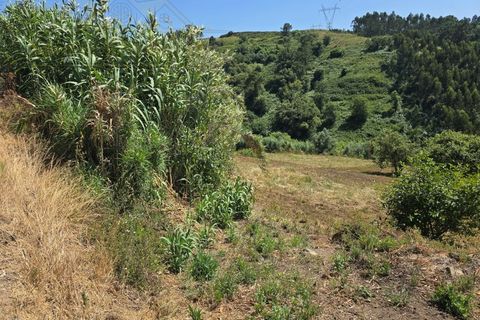 Helårsgrund i Torres Vedras, Lisbon, Torres Vedras - € 59.000 | Ref: TER_384 - foto 2