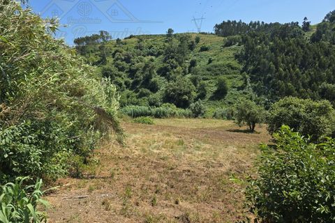 Helårsgrund i Torres Vedras, Lisbon, Torres Vedras - € 59.000 | Ref: TER_384 - foto 3