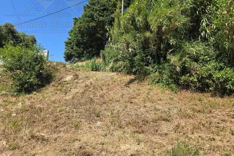 Helårsgrund i Torres Vedras, Lisbon, Torres Vedras - € 59.000 | Ref: TER_384 - foto 5