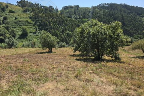 Helårsgrund i Torres Vedras, Lisbon, Torres Vedras - € 59.000 | Ref: TER_384 - foto 6