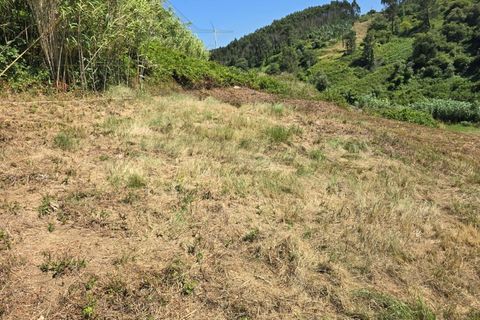 Helårsgrund i Torres Vedras, Lisbon, Torres Vedras - € 59.000 | Ref: TER_384 - foto 7