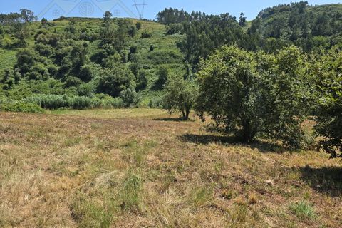 Helårsgrund i Torres Vedras, Lisbon, Torres Vedras - € 59.000 | Ref: TER_384 - foto 9