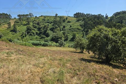 Helårsgrund i Torres Vedras, Lisbon, Torres Vedras - € 59.000 | Ref: TER_384 - foto 10