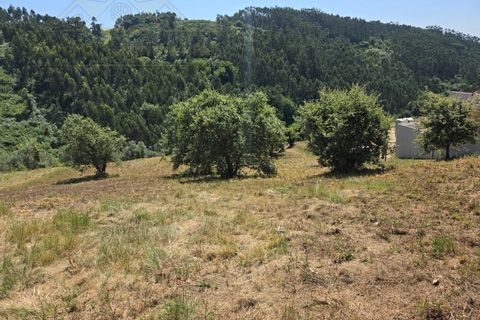 Helårsgrund i Torres Vedras, Lisbon, Torres Vedras - € 59.000 | Ref: TER_384 - foto 11