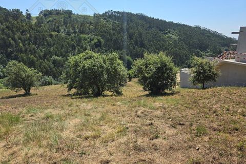 Helårsgrund i Torres Vedras, Lisbon, Torres Vedras - € 59.000 | Ref: TER_384 - foto 12