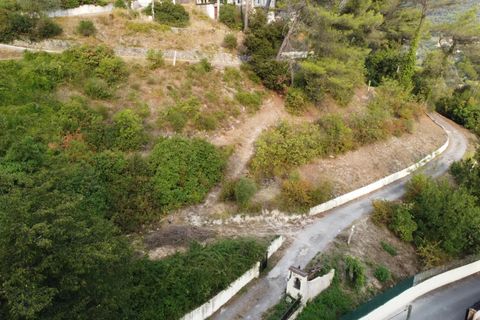 Terra a Drap, Alpes-Maritimes, Drap - € 178.000 | Ref: 86074772 - foto 5