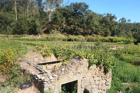 Helårsgrund i Barcelos, Braga, Barcelos - € 110.000 | Ref: 254240332 - foto 2