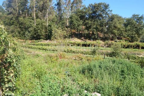 Helårsgrund i Barcelos, Braga, Barcelos - € 110.000 | Ref: 254240332 - foto 3